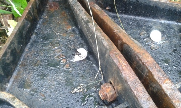 Drain dweller in Banavie 2 Copyright: Michael Whelan