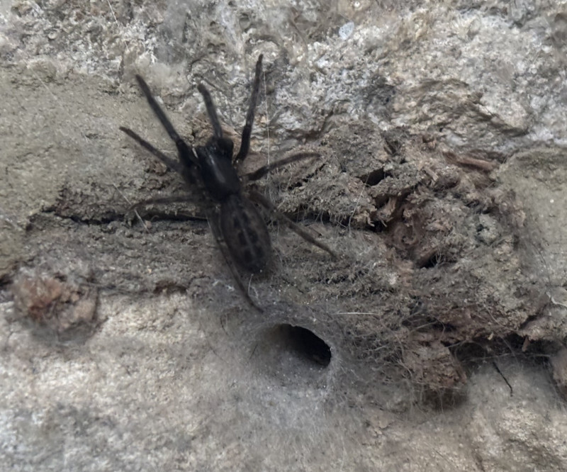 Tube web - Stroud Copyright: ABP