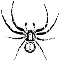 BAS Logo Copyright: British Arachnological Society