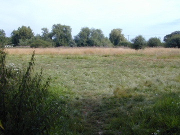 Winnersh Marsh - view from entrance showing layers Copyright: Roland Ramsdale