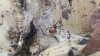sandhurst spider