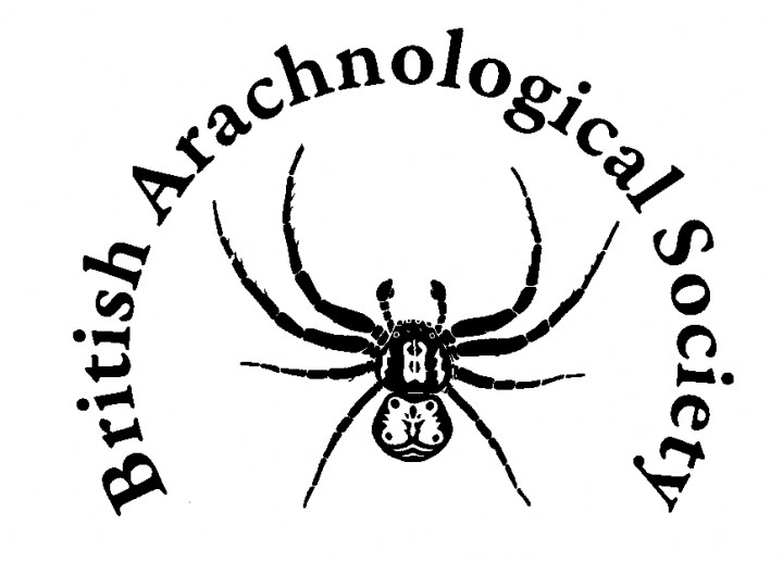 British Arachnological Society Logo Copyright: Richard Gallon