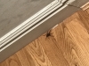 Big spider in the house