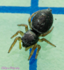 In Compost 