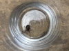 False Widow (found in my bed)