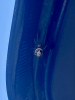What is this spider 